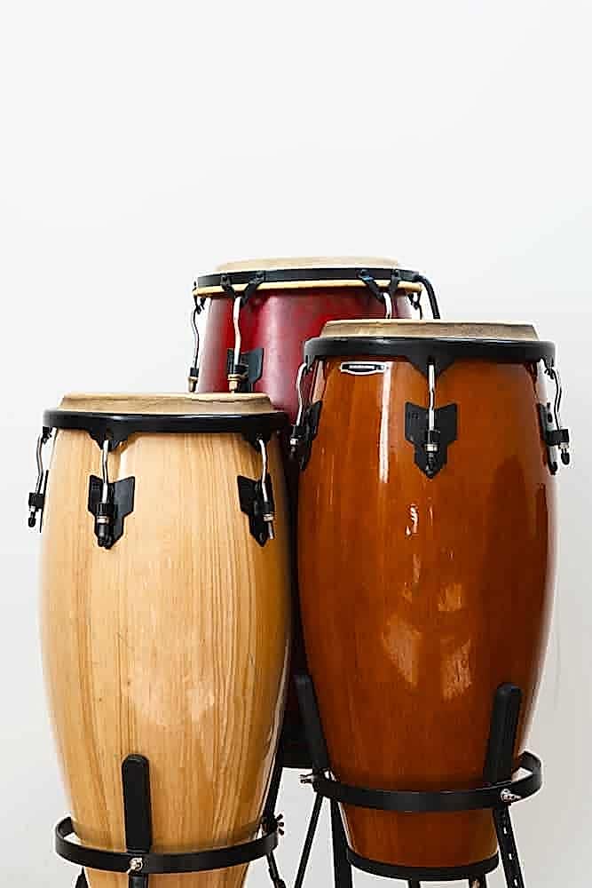 Photo of Conga